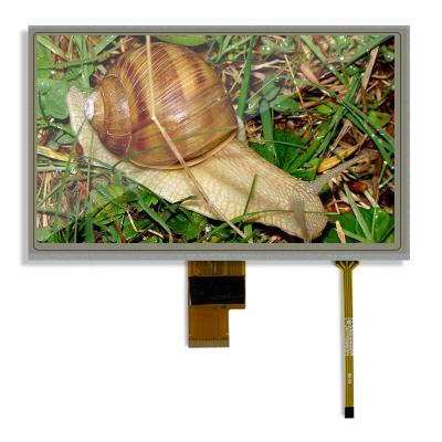 China Original 8.0 inch LVDS LCD display screen ZJ080NA-08A with touch panel-T1 resolution 1024*600 brightness 500 contrast 700:1 8.0 inch for sale