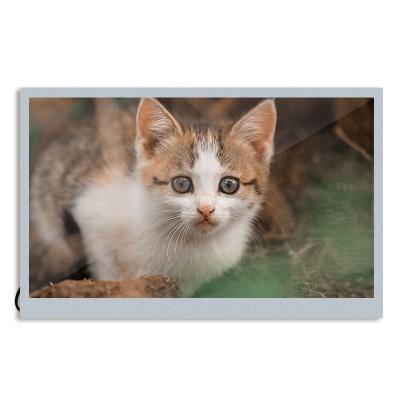 China IVO Original 7.0 Inch TTL LCD Display Screen M070SWP1 R4 Resolution 800*480 Brightness 500 Contrast 500:1 For Industrial LCD 7.0 inches for sale