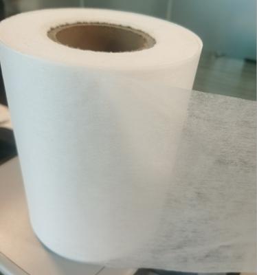 China PLA Nonwoven Fabric for Disposable Masks and Healthcare Products 100% Biodegradable Material for sale