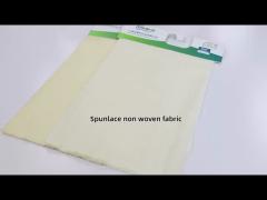 Spunlace Nonwoven Fabric