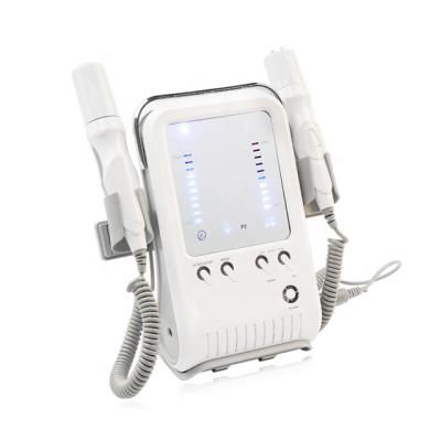 China Anti-Puffiness Portable 2 In 1 No Needle Mesotherapy RF Face Lifting Machine For Home Use for sale