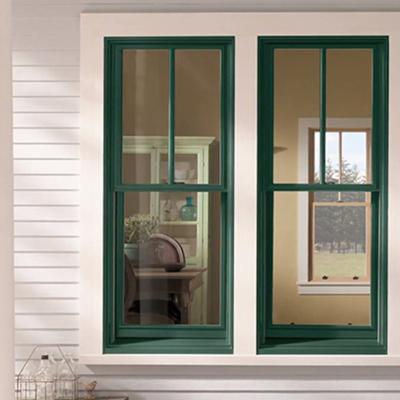 China Magnetic Screen 2 Over 1 Window Black Aluminum Double Screened Hung Windows (Vertical Sliding) for sale