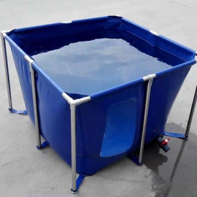 China Hotels China Custom made  Plastic Durable 5 years life-time PVC Fish pond Fish farming tank with steel frame 2400L à venda