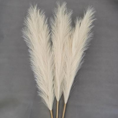 China Durable Faux Pampas Grass For Home Decor Layout For Home Decorative Artificial Pampas Grass Flowers for sale