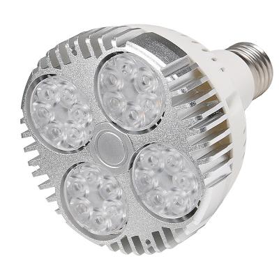 China Seed starting hot sale factory price led bulb newcomer led cob for indoor plant for sale