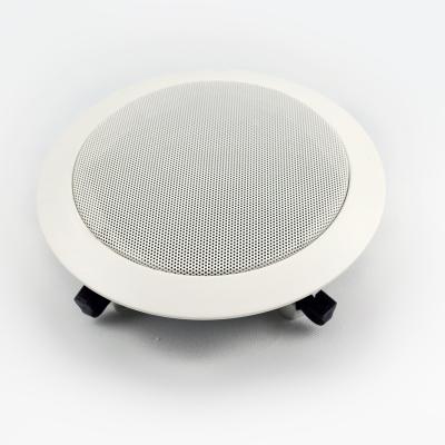 China High Quality Waterproof Type Speaker Wall Mount Metal PA Ceiling Plastic Speaker 3 Years ABS Plastic Cover 100V 70V 41*28*31CM for sale