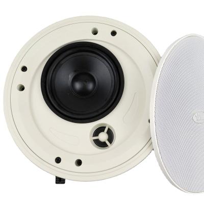 China New Fashion Speaker Grill Speaker Waterproof Sound System with Ceiling Speakers for sale