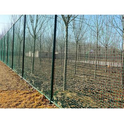 China Anti - Corrosion Custom Size Sport Field Barrier Netting Green Stadium Barrier Netting for sale