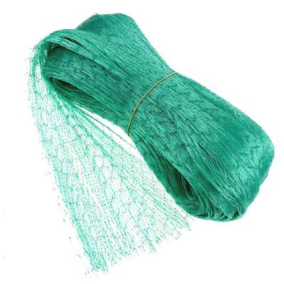 China Agricultural 100% Polyamide (Nylon) Virgin HDPE Anti-bird Netting For Greenhouse Vegetables Fruit Plants for sale