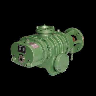 China Other High Quality Roots Vacuum Pump High Vacuum Roots Vacuum Compressor for sale