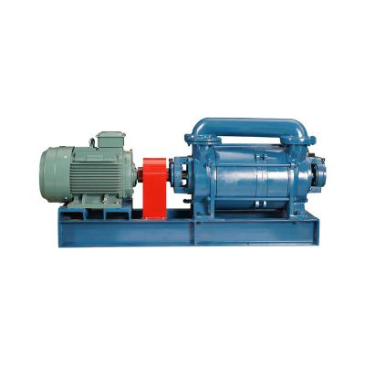 China Other Food Beverage Industry Electric Two Stage Water 2SK-30H Ring Vacuum Pumps for sale