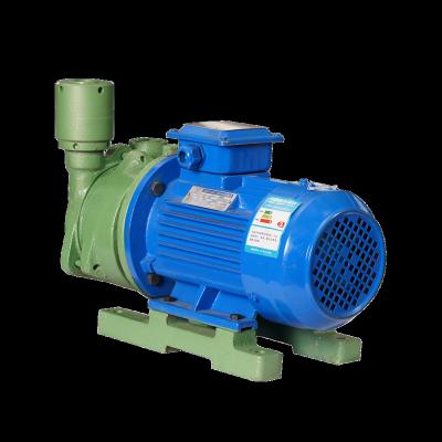 China Other Paper Making Stainless Steel Pump Chemical Process Water Ring Type Vacuum Pump for sale