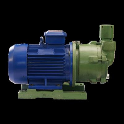 China Other SZ-100B Clean Water Pump Electric Water Ring Vacuum Pump System for Vacuum Filtration for sale