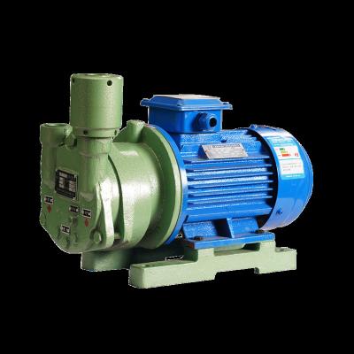 China Other OEM ODM Industrial Liquid Ring Vacuum Pump For Vacuum Feeding for sale