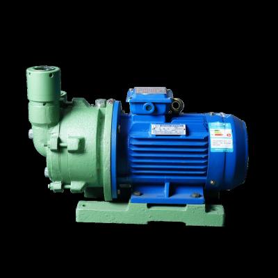 China Other OEM ODM Circulating Water Vacuum Pump Slurry Pump For Vacuum Filtration for sale