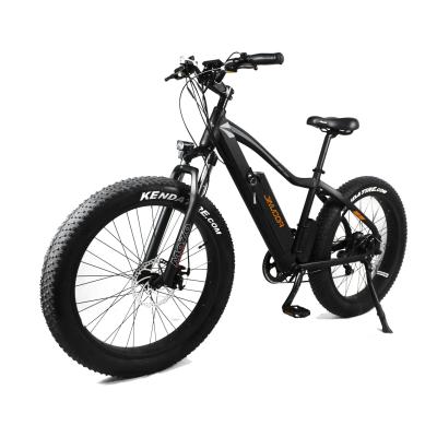 China 2020 new model standard fat tire electric bike 750w 48v e-bike lithium battery electric bicycle for sale