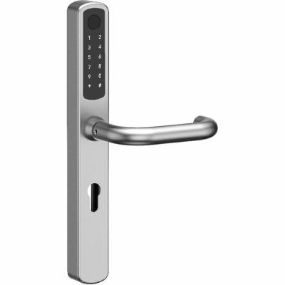 China Manufacturer Supplier of factory price SUS304 96 hours salt spray test smart lock with handle for sale