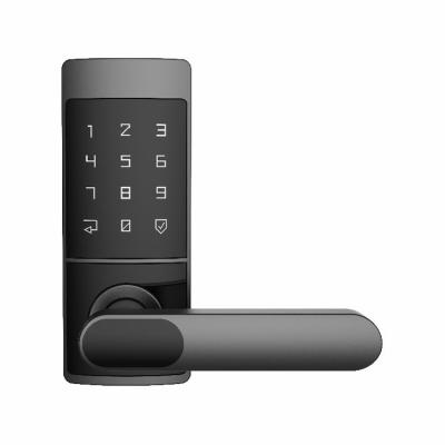 China Zinc Factory Direct Supply 48 Hours Salt Spray Test 100 PIN Codes Home Smart Lock Door for sale