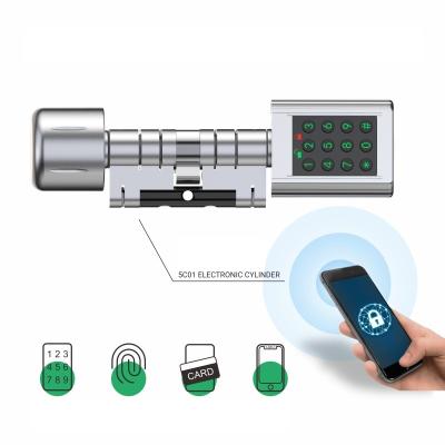 China JIXIN Tuya Bluetooth Aluminum Alloy Electronic Cylinder Work with Fingerprint and Keycard TTlock 5C01-pc optional for sale