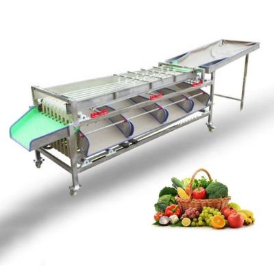 China Macadamia Nut Roasting Machine Stainless Steel Fruit Sorting Grading Machine for sale