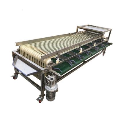 China Frucht-sortierende Maschine Olive Food Sorting Machine Industrials 1.5kw zu verkaufen