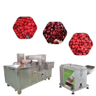 China Commerciële Fruit Core Seed Removing Cherry Pitting Machine Te koop