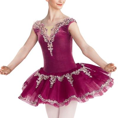 China Comfortable Embroider Splice Velutum Ballet Dress Performance Wear Ballet Dancer Tights Dancewear Princess Skirt Dance Wear for sale