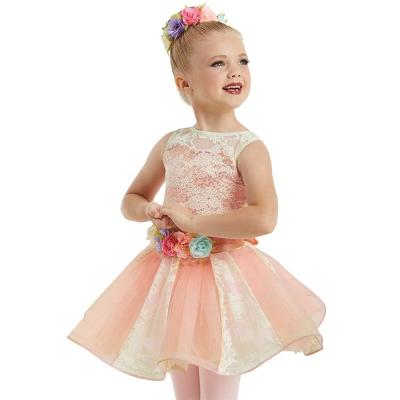 China Professional OEM Comfortable Children's Lace Dance Tutus Performance Dress Design Splicing New The Princess Skirt Leotard Ballet Dress Girl for sale