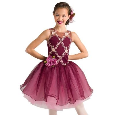 China High Quality Customized Comfy Mesh Gauze Skirt Newly Designed Strap Vest Embroidered Tutu Dress Stage Costume Girl Ballet Dresses for sale