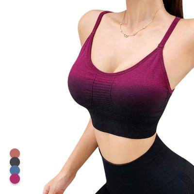 China Ama Larsi Womens Yoga Wear Shrinkproof Breathable Stretch High Gradient Seamless Yoga Sets for sale