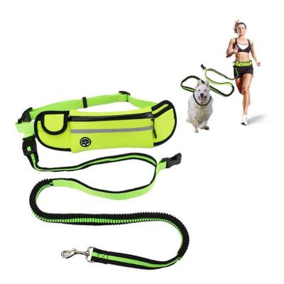 China Durable Retractable Hands Free Dog Leash With Bag For Running Walking Training for sale