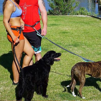 China Double Pet Leashes Reflective High Quality Elastic Running Rope Telescopic Type Glitter Dog Leash for sale