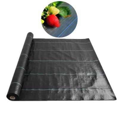 China Recyclable Agricultural Plastic Biodegradable Fabric Weed Mat for sale