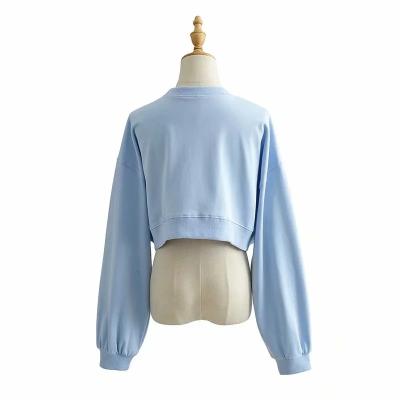 China Breathable Hot Sale Women's Fitness Clothing Autumn Sweatshirt Crop Top Women Long Sleeve Crewneck for sale