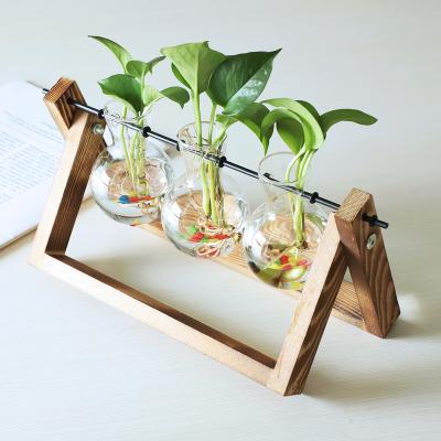 China Eco-friendly Top Quality And Good Price Unique Transparent Glass Vase Hydroponic For  Home Decoration for sale