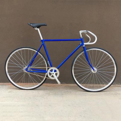 China Street The Latest Popular 700C 52cm Road Bike Spoke Fixed Wheel Gear Bicycle for sale