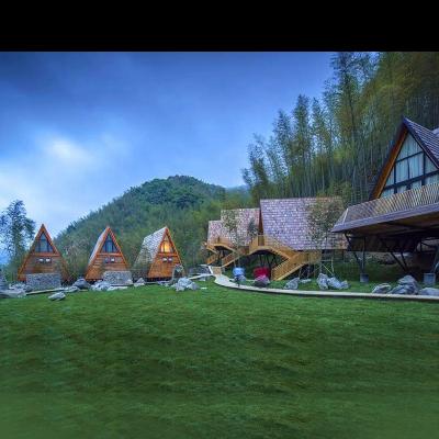 China New Triangle Style Holiday Resort Beautiful Modern Design Prefab Wooden Tree Prefab House for sale