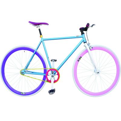 China 700C Steel RACING FIXIE BICYCLES BIKES ROAD FIXIE BIKE CYCLE COLORS FIXIE BIKES FOR SALE for sale