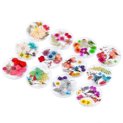 China Beautiful DIY Natural Dried Flower Nail Stickers Nail Art for sale