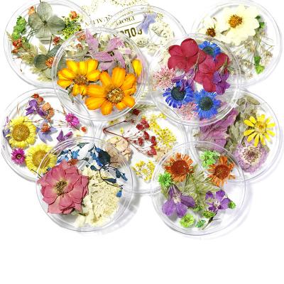 China 2021 Ins Style Eco-friendly Material Natural Narcissus Flower Manicure Ornaments Lovely Small Nail Decorative Dried Flowers Stickers for sale