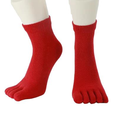 China Sporty Customize Cotton Toe Winter Warm Men Womens Socks for sale