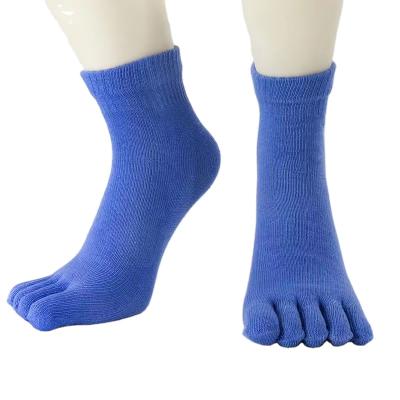 China Fashion Sporty Custom Cotton Unisex Thick Logo Thick Toe Women's Socks Man Warm for sale