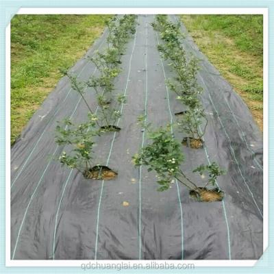 China PP Vegetable Ground Cover / Woven Weed Mesh / Fabric Weed Control Barrier Mats for sale