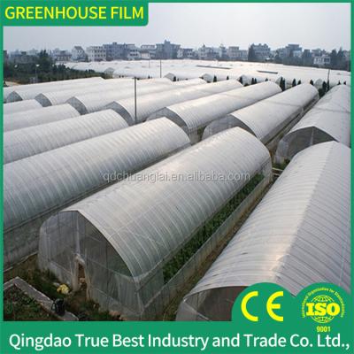 China Agriculture Protection Insect Net China Cheapest Agricultural Greenhouse Plastic Film for sale