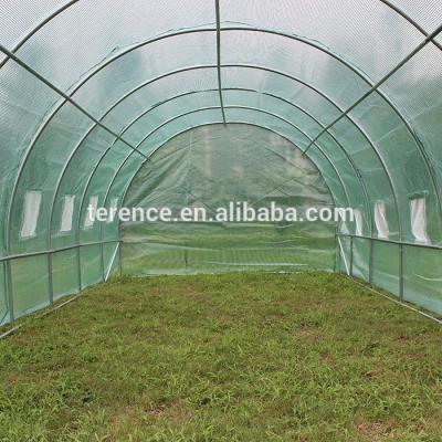 China Easily Assembled Greenhouse Plastic Sheet Tunnel Vegetable Growing Greenhouse for sale