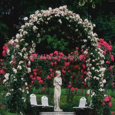 China Euro Type High Quality Easily Assembled Rose Garden Arch Deigns for sale