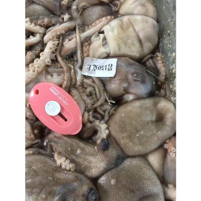 China Big high quality delicious frozen octopus wholesale 30/50 50/80 80/100 100/150 150/250 above 250g for sale