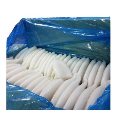 China Wholesale frozen fresh frozen squid for sale indian squid squid tube for sale