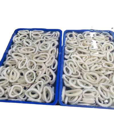 China Wholesale NATURE squid high quality frozen ring on sale sales for sale