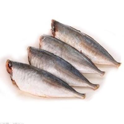 China High quality NATURE cheap price remove head remove cut tail remove internal organs mackerel for sale